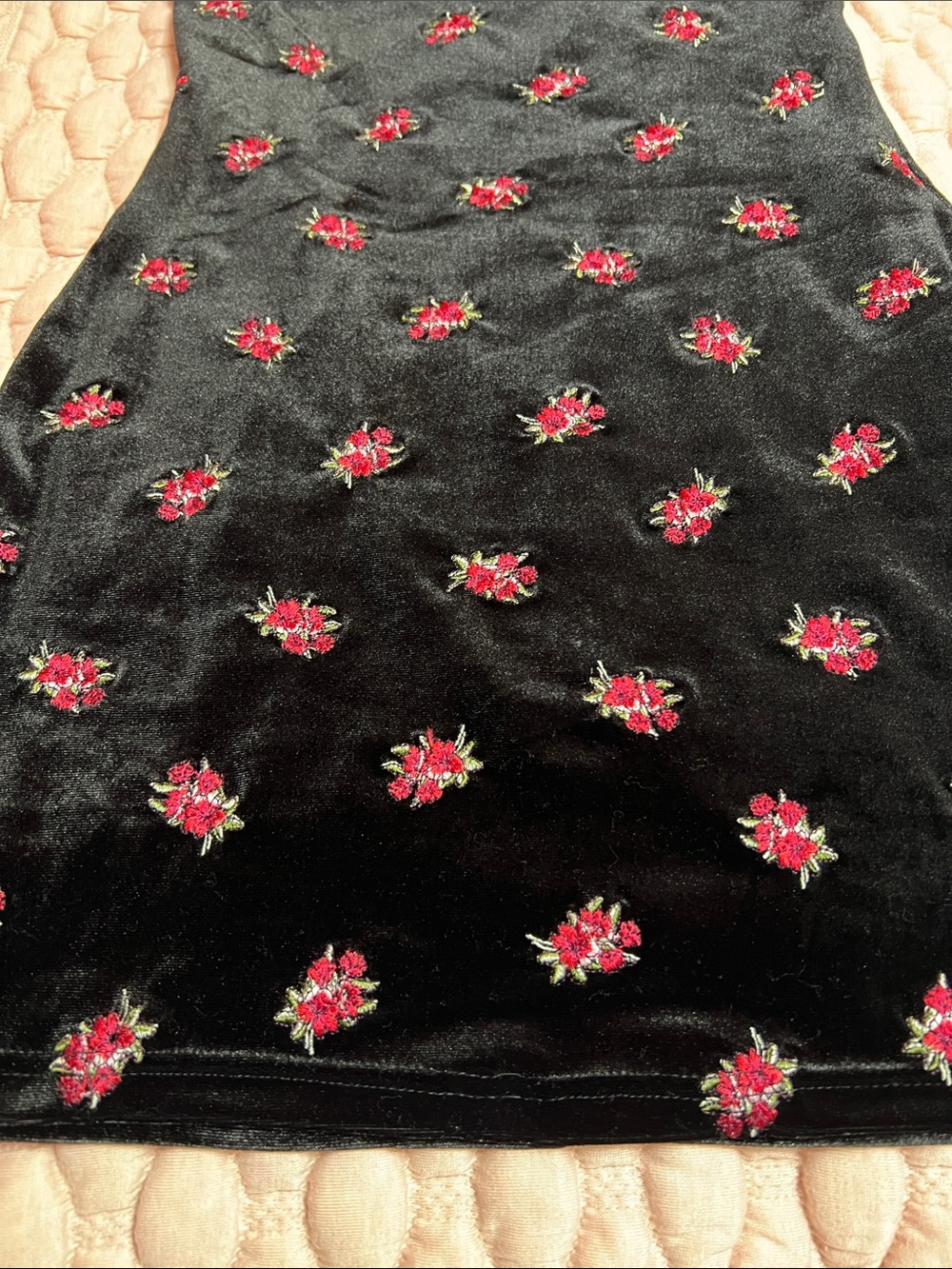 forever21 black velvet embroidered floral roses dress - Picture 5 of 10